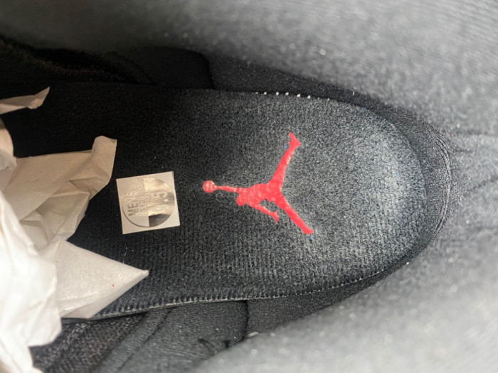 Air Jordan 12 “Bloodline” CT8013-001